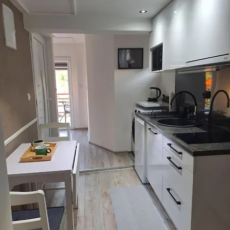 Elzi Apartment Tuzla
